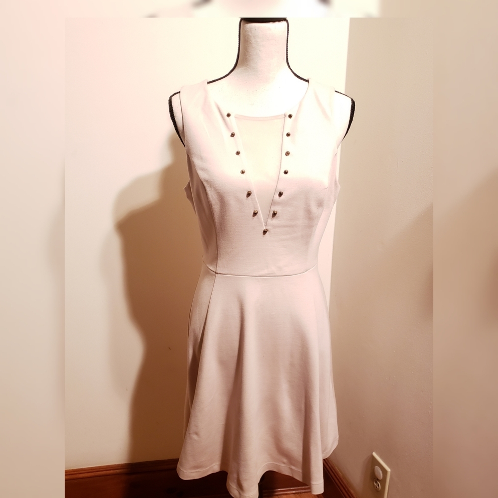 Express Sheer Panel Skater Dress